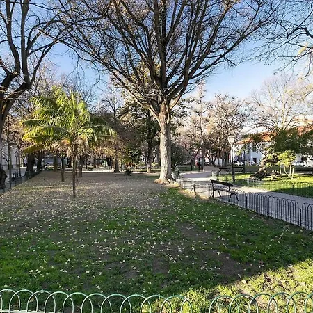 Διαμέρισμα Spacious In Rato With Terrace *